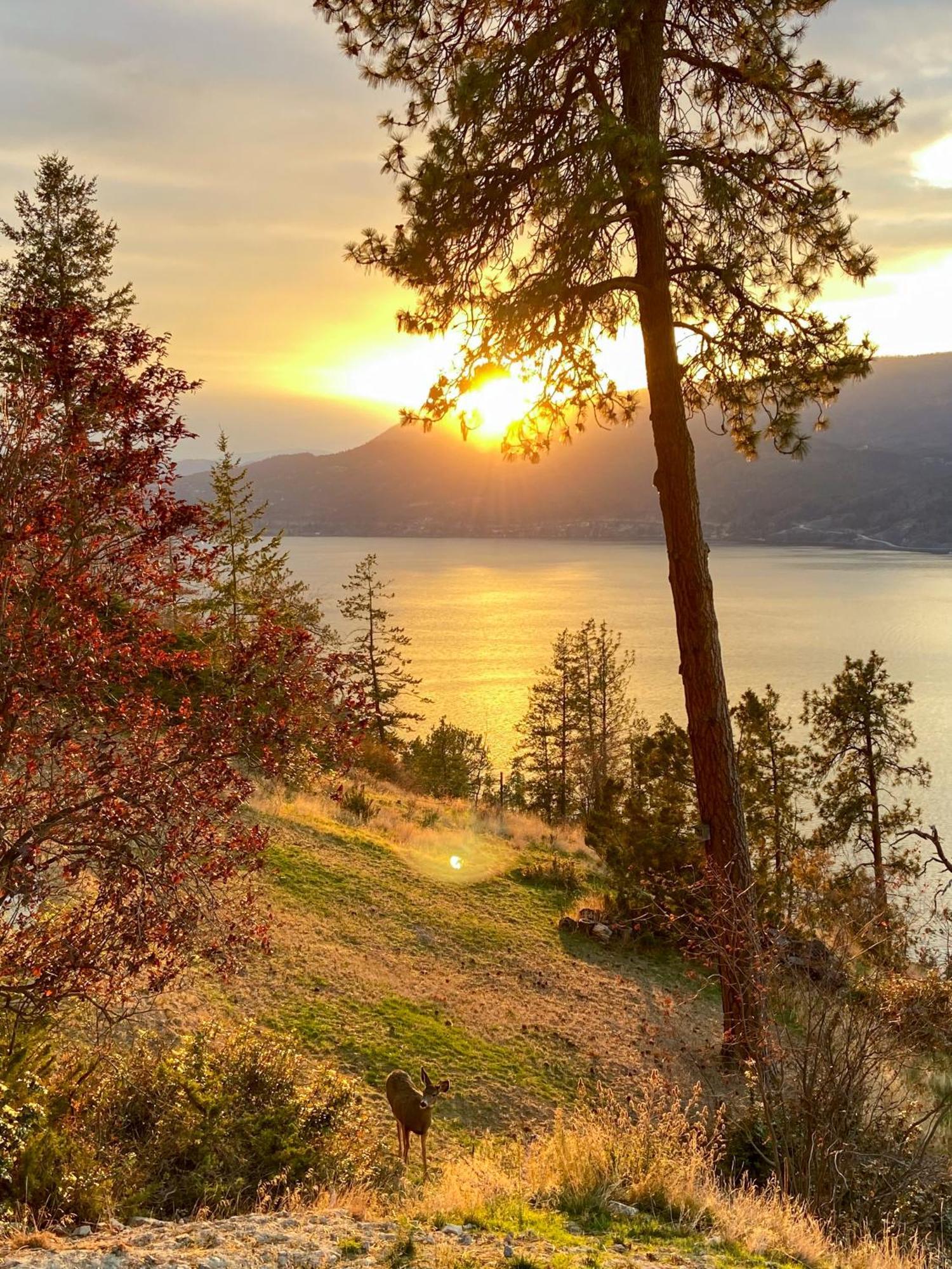 Kelowfornia Lakeview Retreat Kelowna Eksteriør bilde